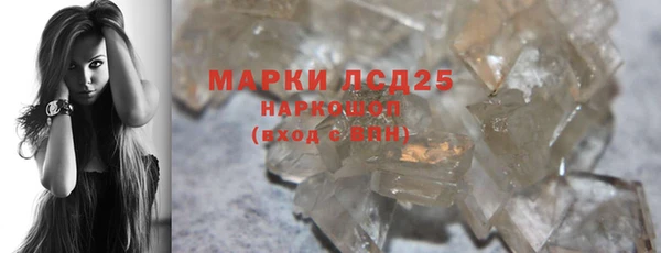 PSILOCYBIN Дмитриев