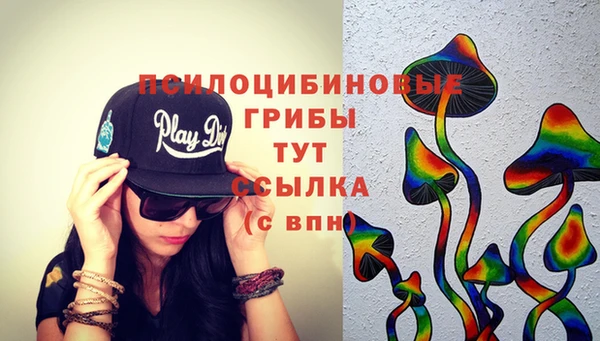 PSILOCYBIN Дмитриев