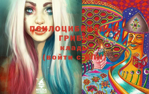 крисы Дмитров