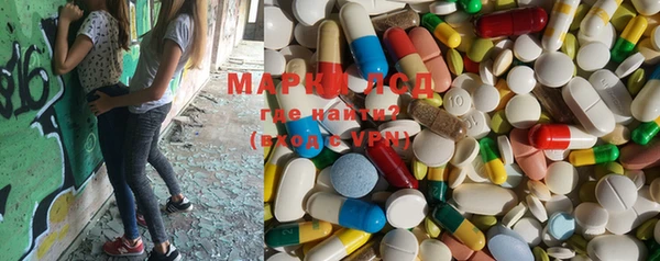 PSILOCYBIN Дмитриев