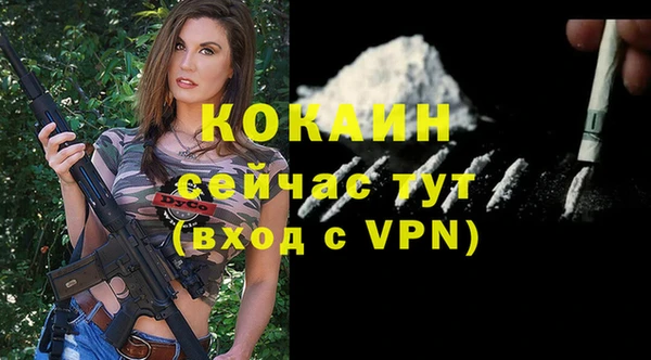 крисы Дмитров