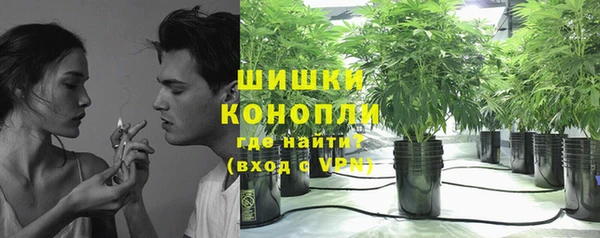 PSILOCYBIN Дмитриев