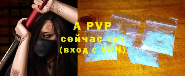 PSILOCYBIN Дмитриев