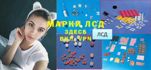 крисы Дмитров