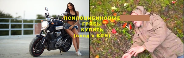 крисы Дмитров