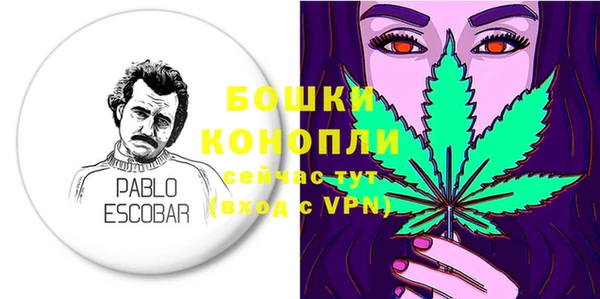 PSILOCYBIN Дмитриев